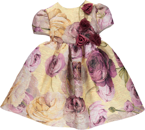 Gold & Pink Floral Print Dress